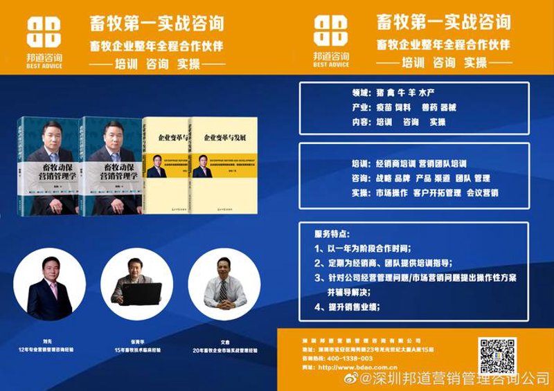 解读沈阳咨询行业最新趋势